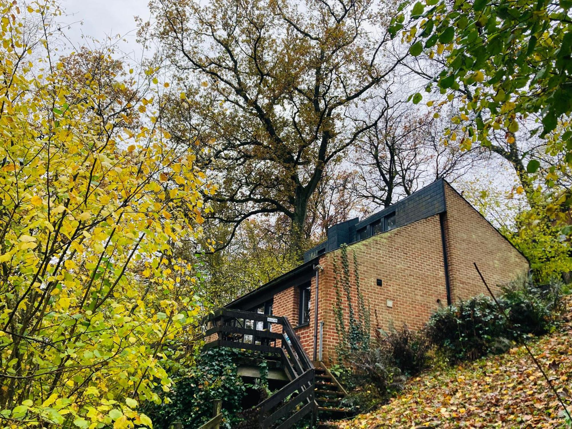 Woody Lodge - Duplex Nature Bonsoy Ardennes Hastiere-par-dela Exteriér fotografie